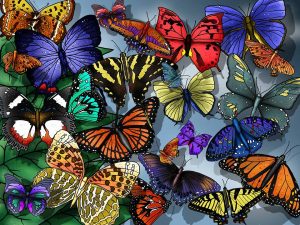 Butterfly inspirations 