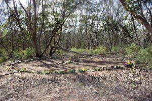 Sacred Earth Healing Circle in the Bush